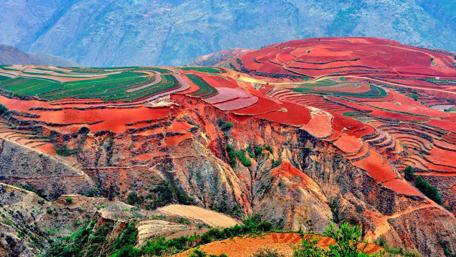 Dongchuan Red Land (Kunming, China) wallpaper