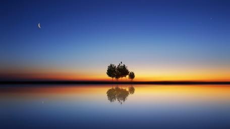 Shadows in the water - Water reflection wallpaper