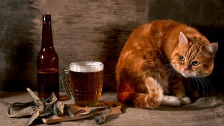 Whiskers and Brews A Cozy Evening wallpaper