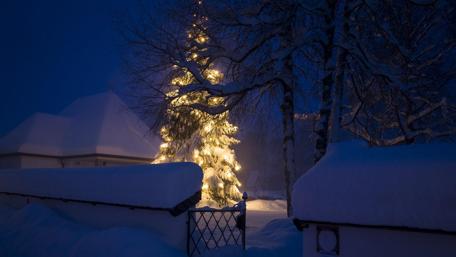 Festive Winter Wonderland in the Evening wallpaper