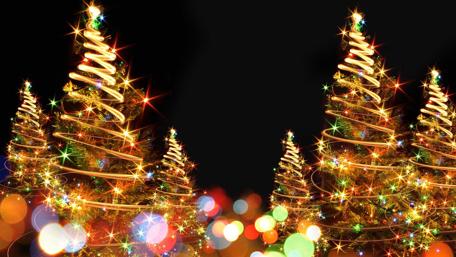 Enchanted Christmas Forest at Night wallpaper
