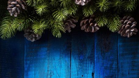 Evergreen Wonders of Nature wallpaper