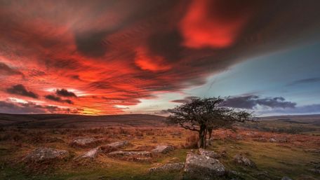 Dartmoor National Park - United Kingdom wallpaper
