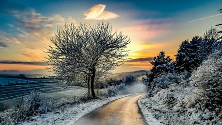 Winter road in the sunset wallpaper