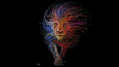 Vibrant Lion Amidst Darkness wallpaper
