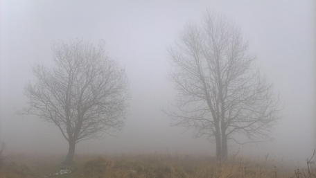 Foggy weather wallpaper