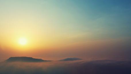 Golden morning wallpaper