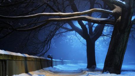 Winter park at night wallpaper