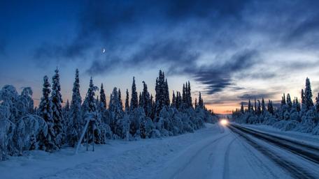 Serene Winter Evening in Nature's Embrace wallpaper