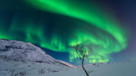 Aurora Borealis Dance Over Arctic Winter Landscape wallpaper