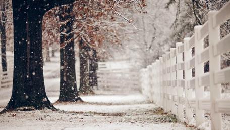 Winter fence wallpaper