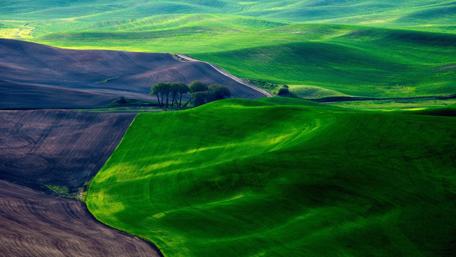 Rolling hills wallpaper