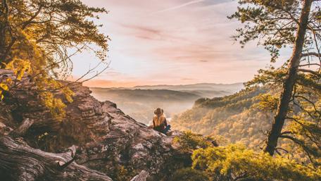 Morning meditation wallpaper
