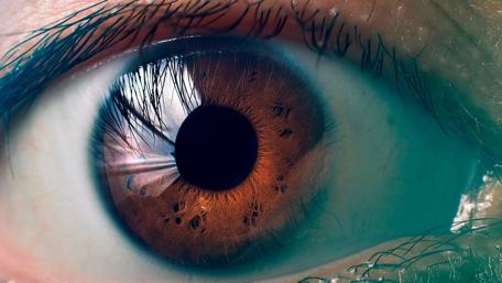 Intricate Beauty of the Human Eye wallpaper