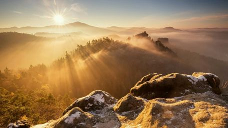Misty morning wallpaper