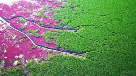 Panjin Wetland - Liaohe Delta wallpaper