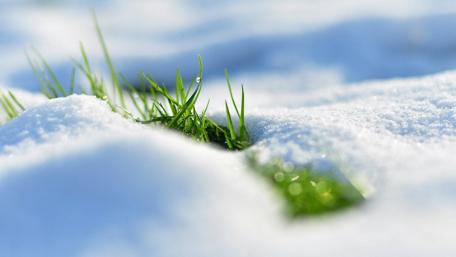 Snowbreak wallpaper