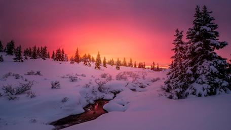 Purple winter sunset wallpaper