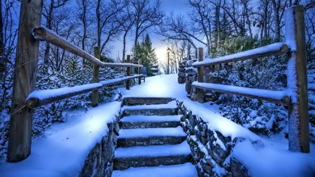 Winter nature photograph wallpaper