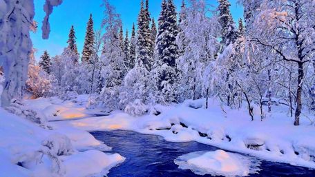Winter Wonderland Forest Brook Scene wallpaper