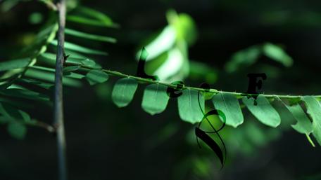 Nature Inspired Alphabet Wallpaper Design wallpaper