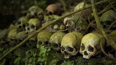 Human skull wallpaper