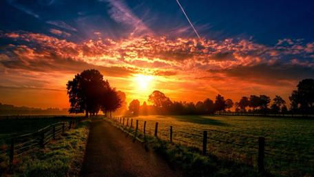 Golden Sunset Down the Rural Lane wallpaper