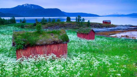 Small lakeside houses Norway wallpaper