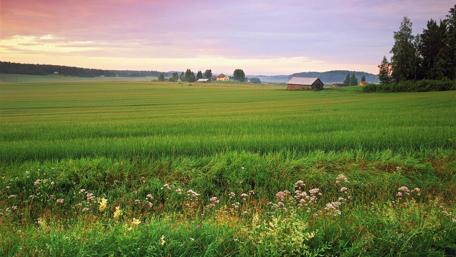Nordic landscape wallpaper