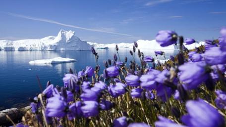 Disko Bay and Jakobshavn Glacier, Ilulissat, Greenland wallpaper