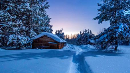 Winter Serenity by a Cozy Cabin in the Woods wallpaper