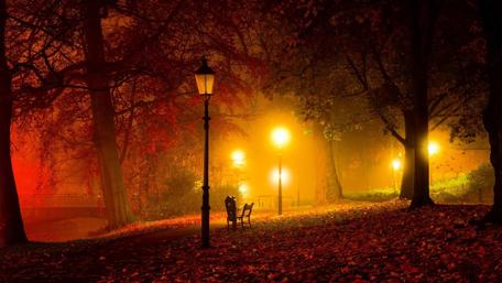 Autumn Evening Serenity in the Park wallpaper