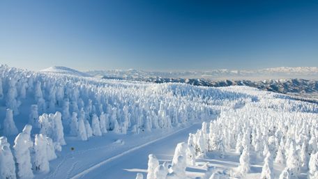 Winter Wonderland in the Mountains wallpaper