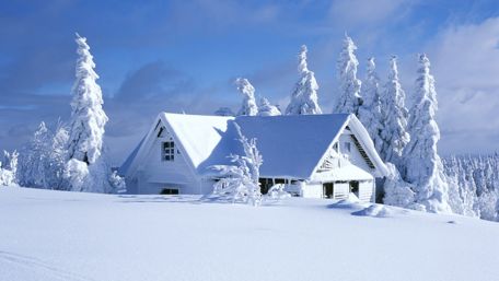 Snowy winter weather wallpaper