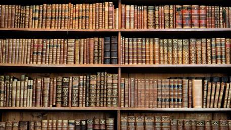 Timeless Wisdom Shelves wallpaper