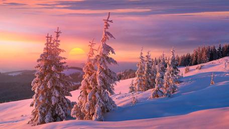 Majestic Winter Sunset over Snowy Hillside wallpaper