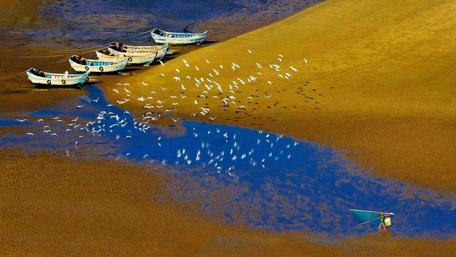 The fisherman, birds and boats wallpaper