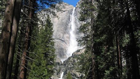 Majestic Waterfall Surrounded by Lush Forests wallpaper