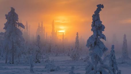 Muddus National Park - Lapland wallpaper