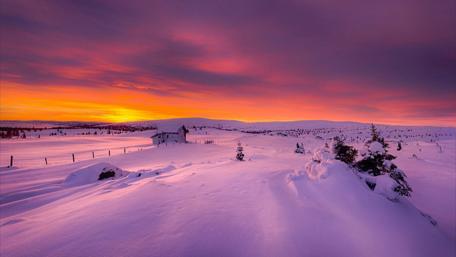 Serene Purple Winter Landscape wallpaper