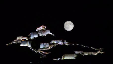 Potala moonlight wallpaper