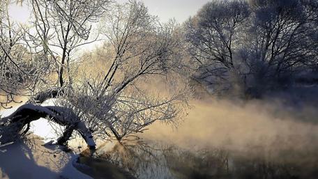 Hoarfrost along the river wallpaper