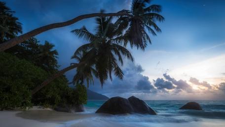 Summer evening in the paradise wallpaper