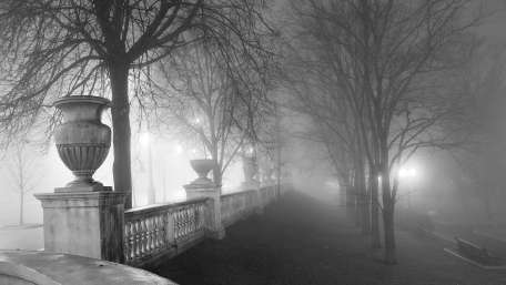 Mysterious Foggy Cityscape in Monochrome wallpaper