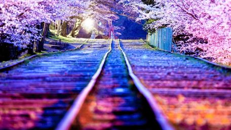 Tunnel of love wallpaper