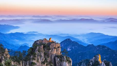 Huangshan - Monkey watch the sea wallpaper