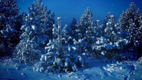 Frozen Serenity in Blue Winter Landscape wallpaper