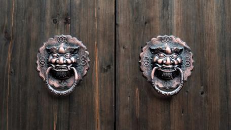 Lion head knocker wallpaper