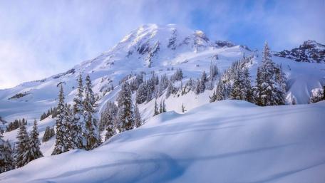 Winter wonderland wallpaper