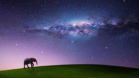 Elephant and Milky Way - Fantasy art wallpaper